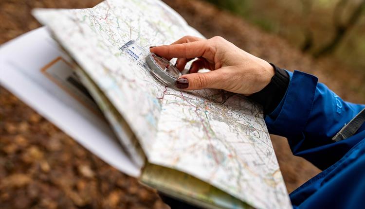 Introduction to Navigation Course