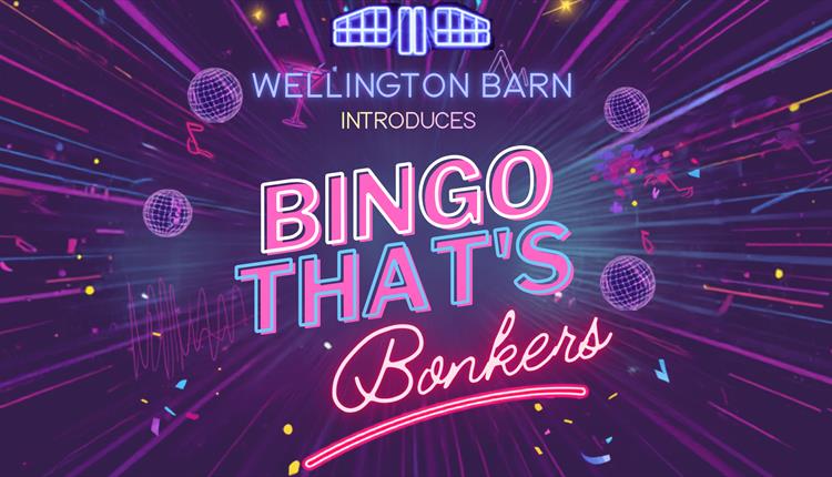 Bingo That's Bonkers!