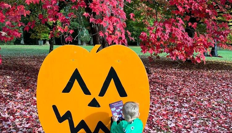 Autumn Adventure at Bowood