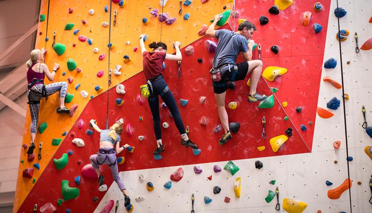 Olympic Climbing Tasters