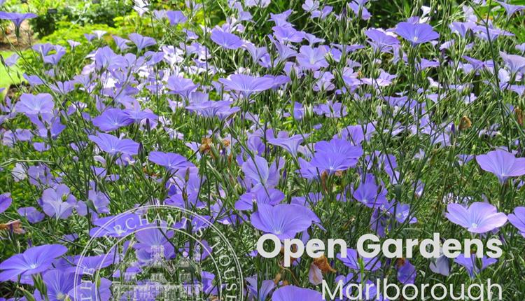 Marlborough Open Gardens