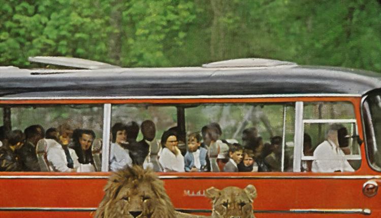 Anniversary Garden Party