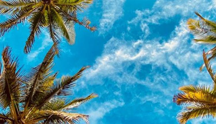 Tropical Treat for the over 60's