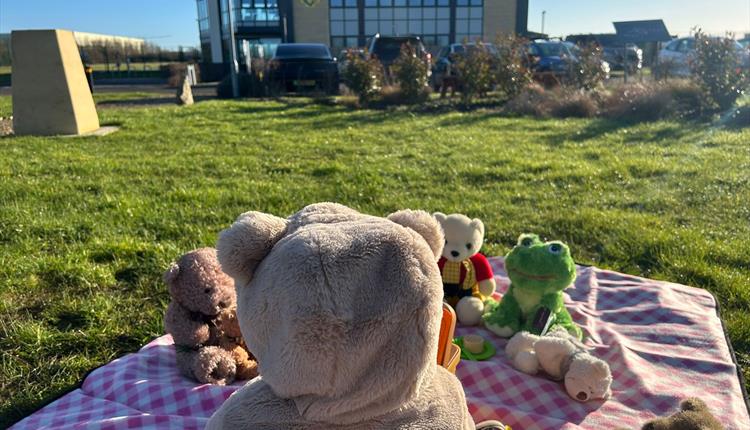 Teddy Bears Picnic