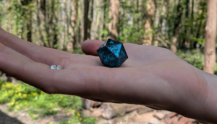 D&D in the Woods with Chronicles and Companions