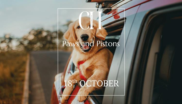 Paws and Pistons