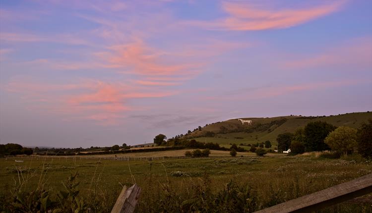 The Westbury White Horse