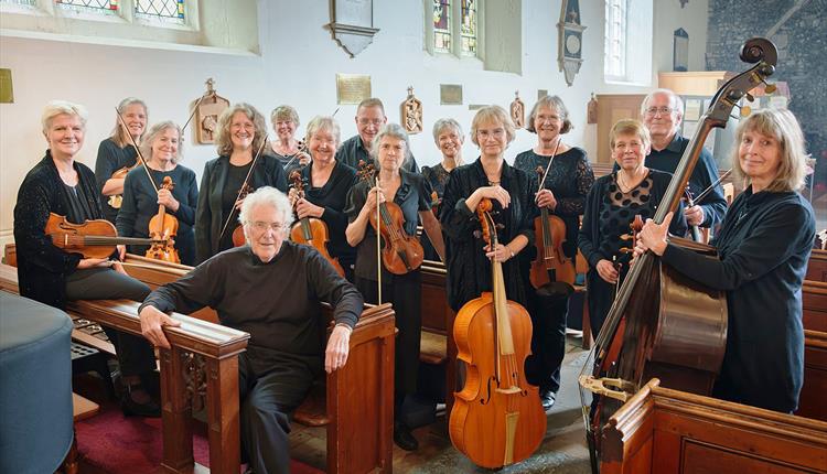 Orpheus and his Lyre: the Salisbury Connection