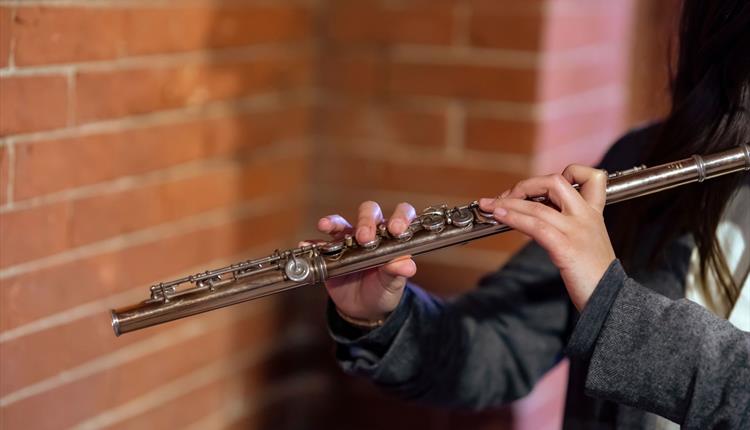 Pick Up And Play: Instrumental Taster Session