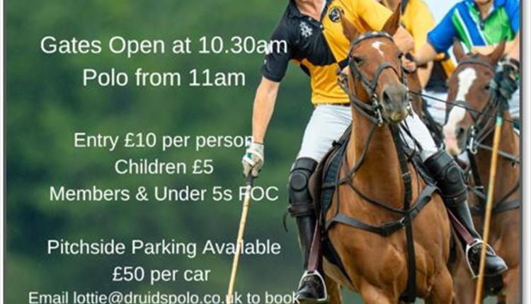 Picnic Polo - Druids Lodge Polo Club