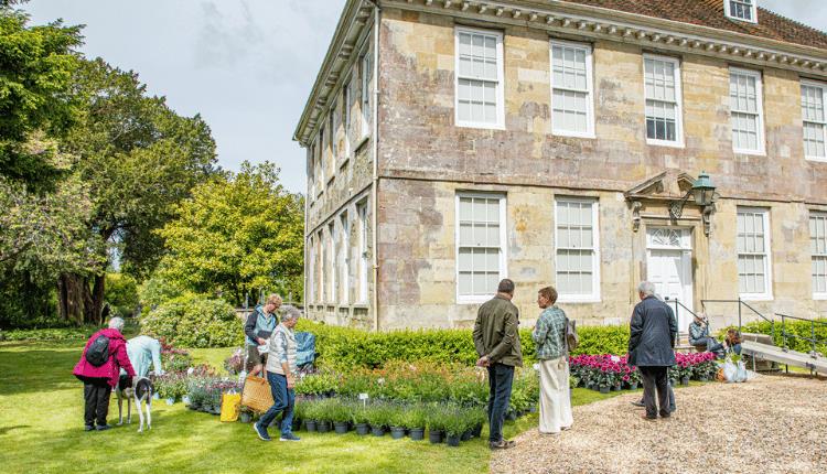 Arundells Autumn Plant Fair