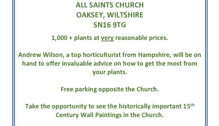Top Quality Garden Plants Sale