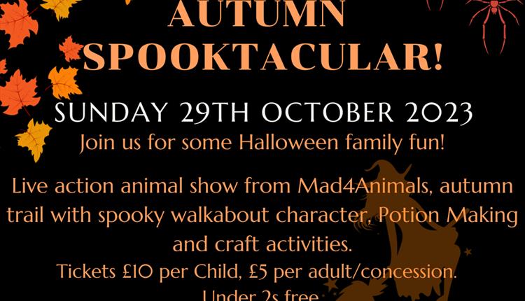 Autumn Spooktacular!