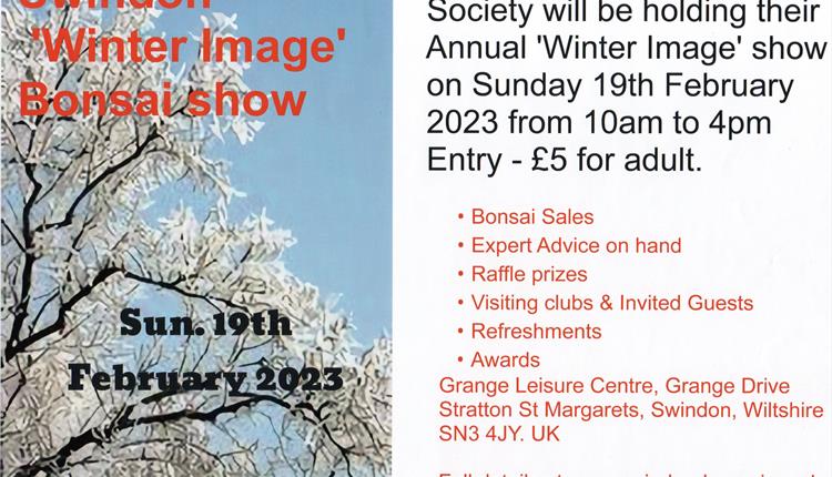 Swindon 'Winter Image' Bonsai show