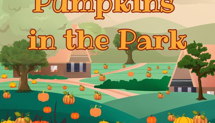 Pumpkins in the Park