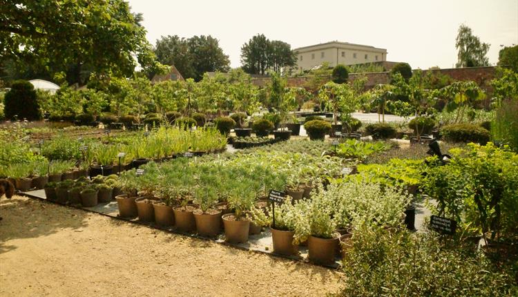 Autumn Conversations in a Walled Garden
