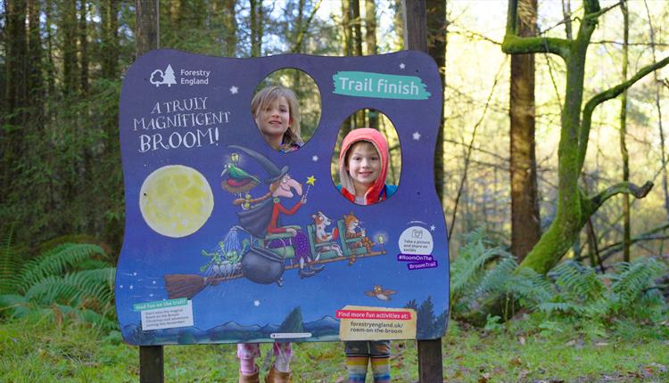Room on the Broom trail at Westonbirt Arboretum