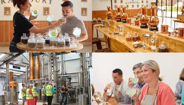 Bespoke Gin Experience