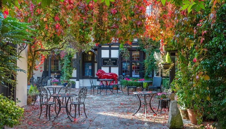 Red Lion in Salisbury