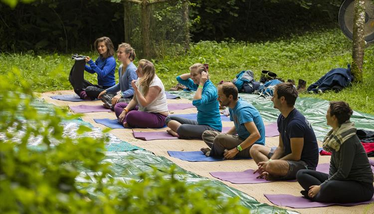 Relax with Yoga on the Lawn