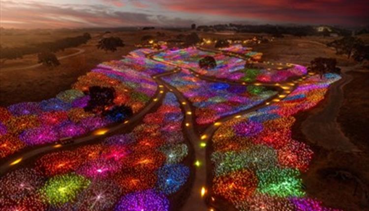 The Light that Lasts Exhibition