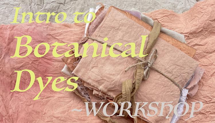 Botanical Dyes Workshop