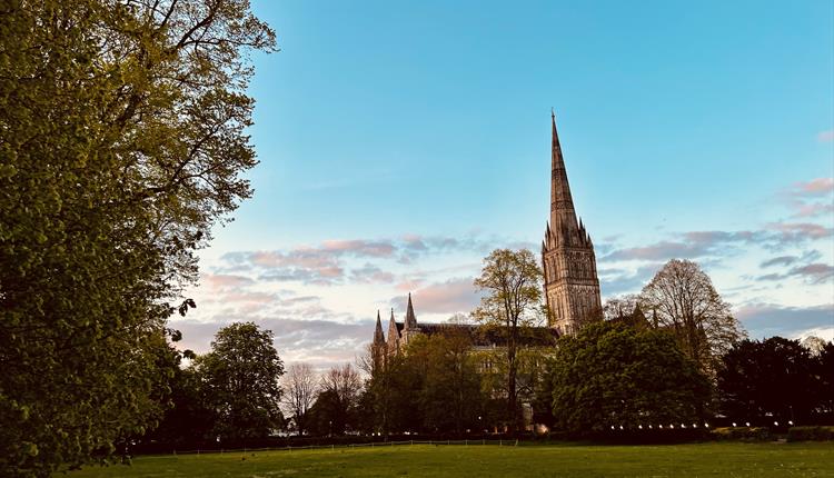 English Tourism Week Guided Walk: Salisbury Water Meadows