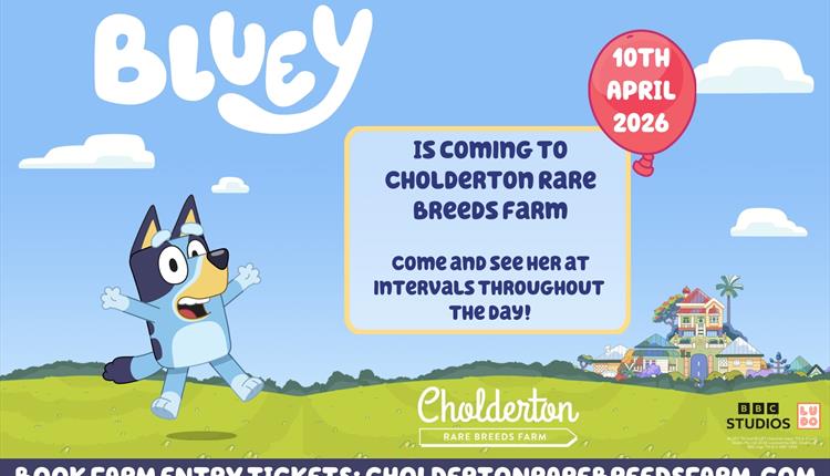 See Bluey at Cholderton Rare Breeds Farm