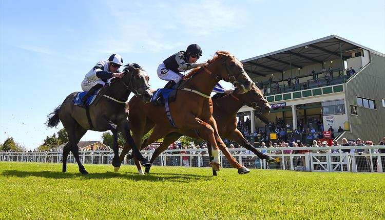 Evening Racing & Scott Mills