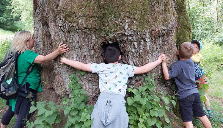 Family Walk at Savernake Forest