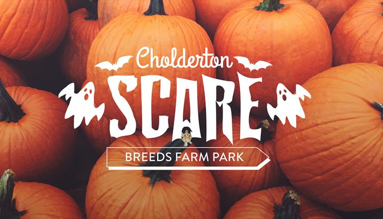 Cholderton SCARE Breeds Farm Halloween Half Term