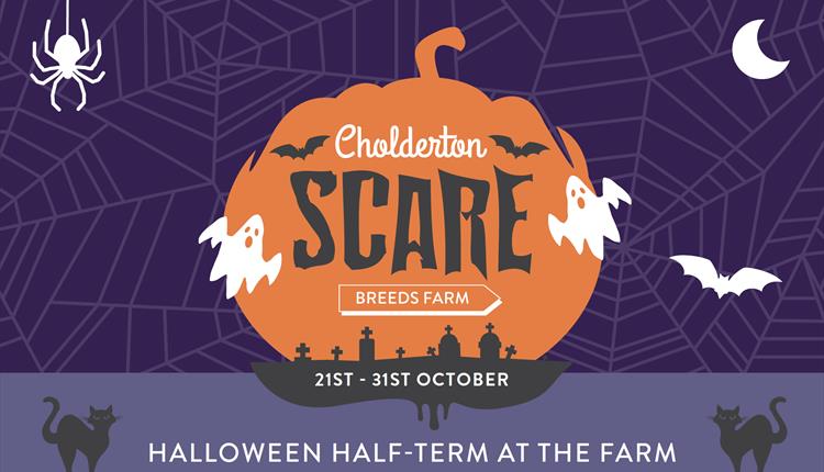 Halloween Half-Term at Cholderton Scare Breeds Farm