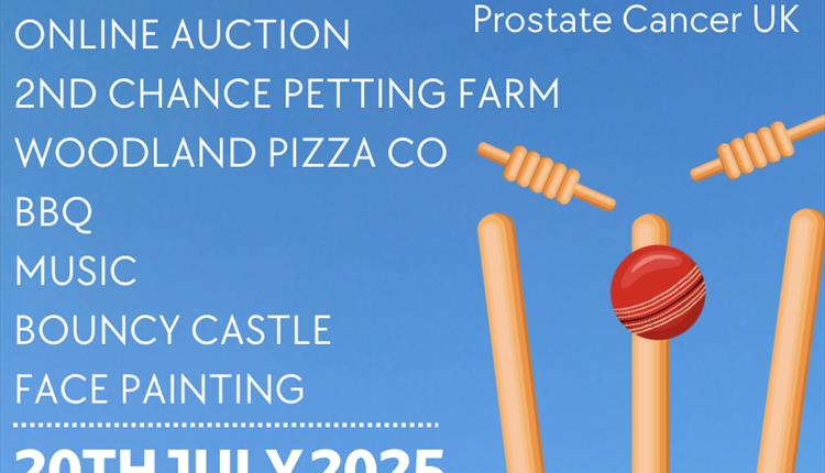 Potterne CC Charity Triangular T20