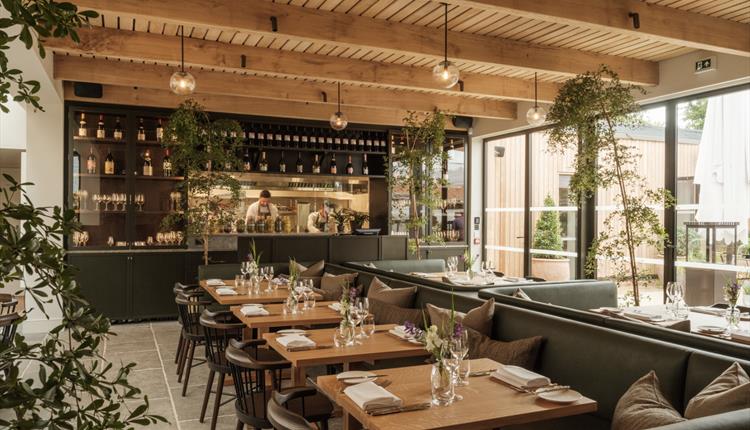 The Great Bustard Supper Club with Bagatelle