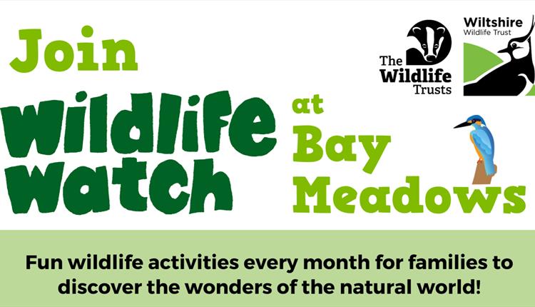 Wildlife Watch at Bay Meadows