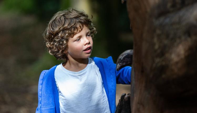 Sensory Woodland – family discovery day