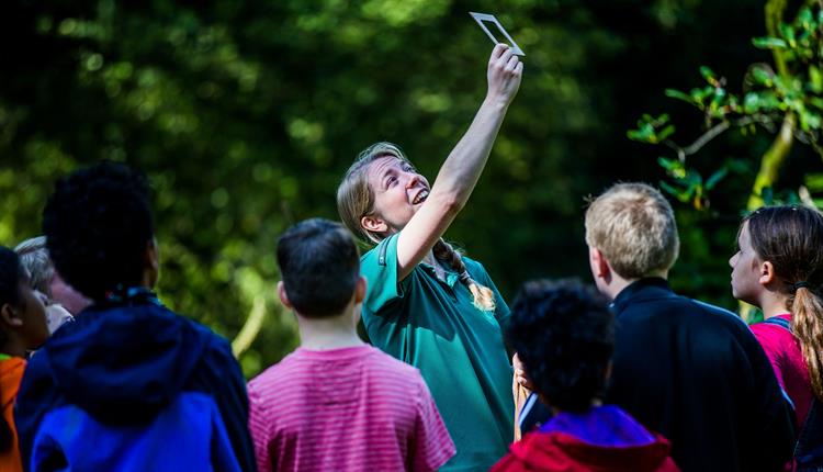 Sensory Woodland Walks – family event at Westonbirt