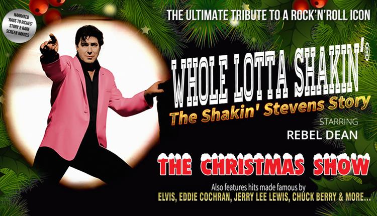 Whole Lotta Shakin' - The Shakin' Stevens Story