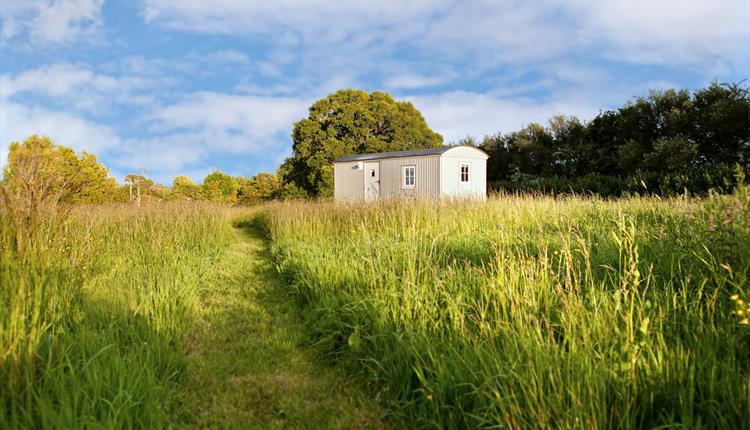 Hare's Rest Shepherd's Hut