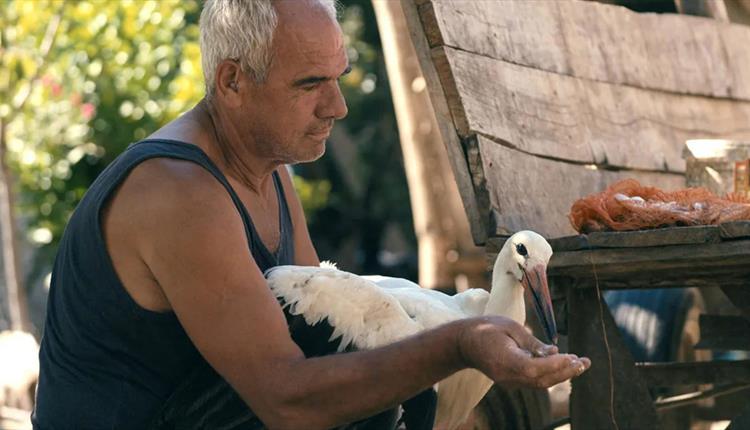 The Tale of Silyan (Cert 12A)