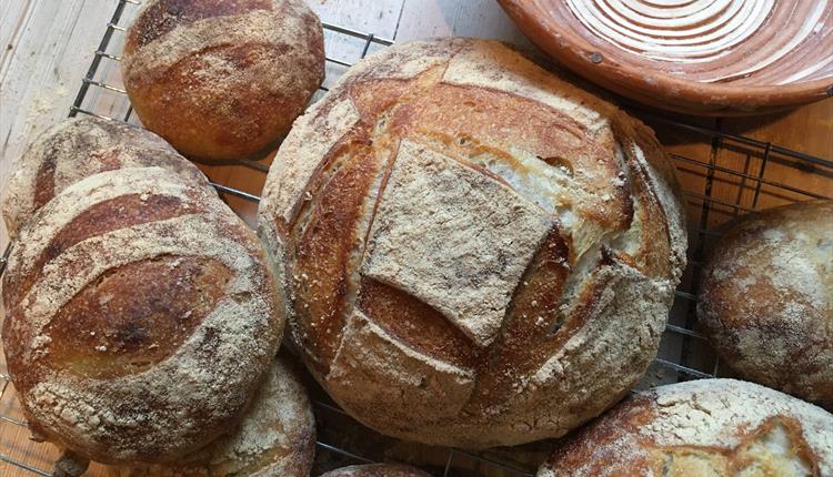 Sourdough Special Cookery Day With Dave Buxton