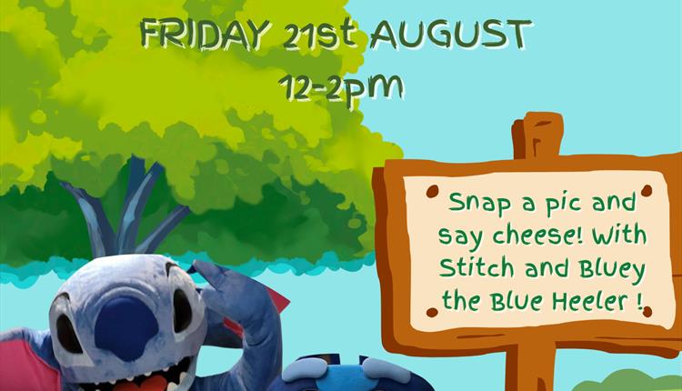 Meet Bluey & Stitch