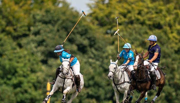 Stonehenge Polo Festival