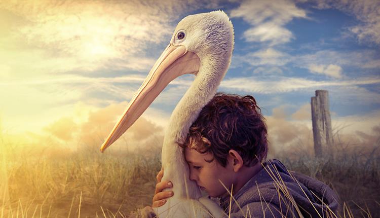 FILM: Storm Boy