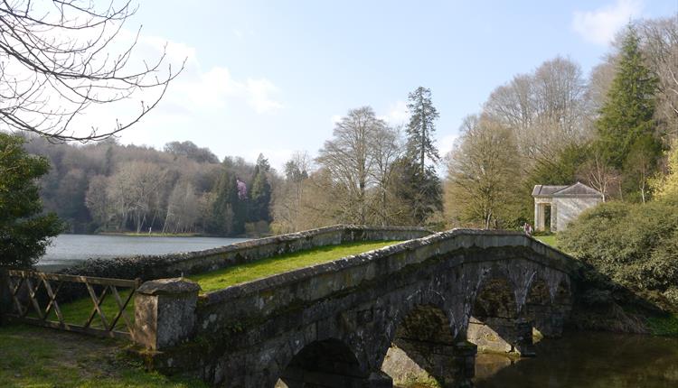 Children's Trail: The Curious Case of the Missing Acorns