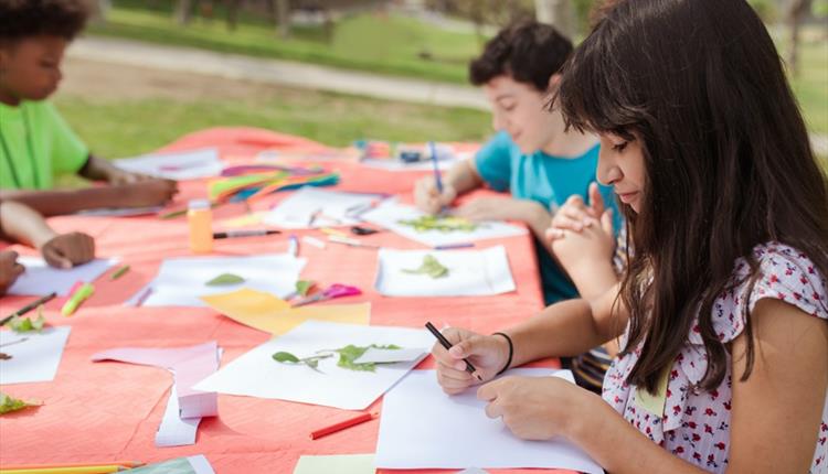 Summer Family Creative Activities