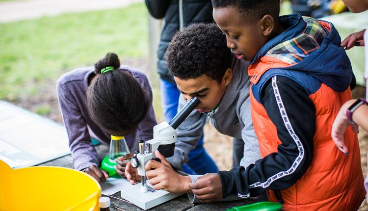 Summer Secrets - Free Family Activity