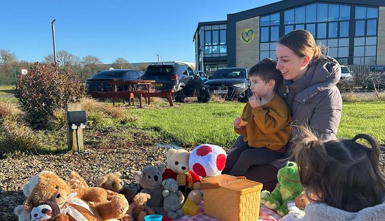 Teddy Bears' Picnic