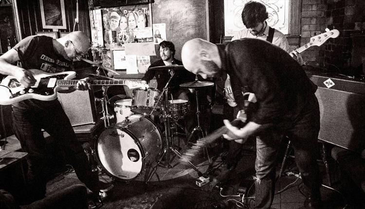 The Brackish