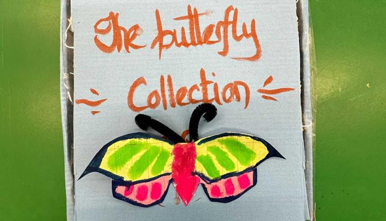 The Butterfly Collection